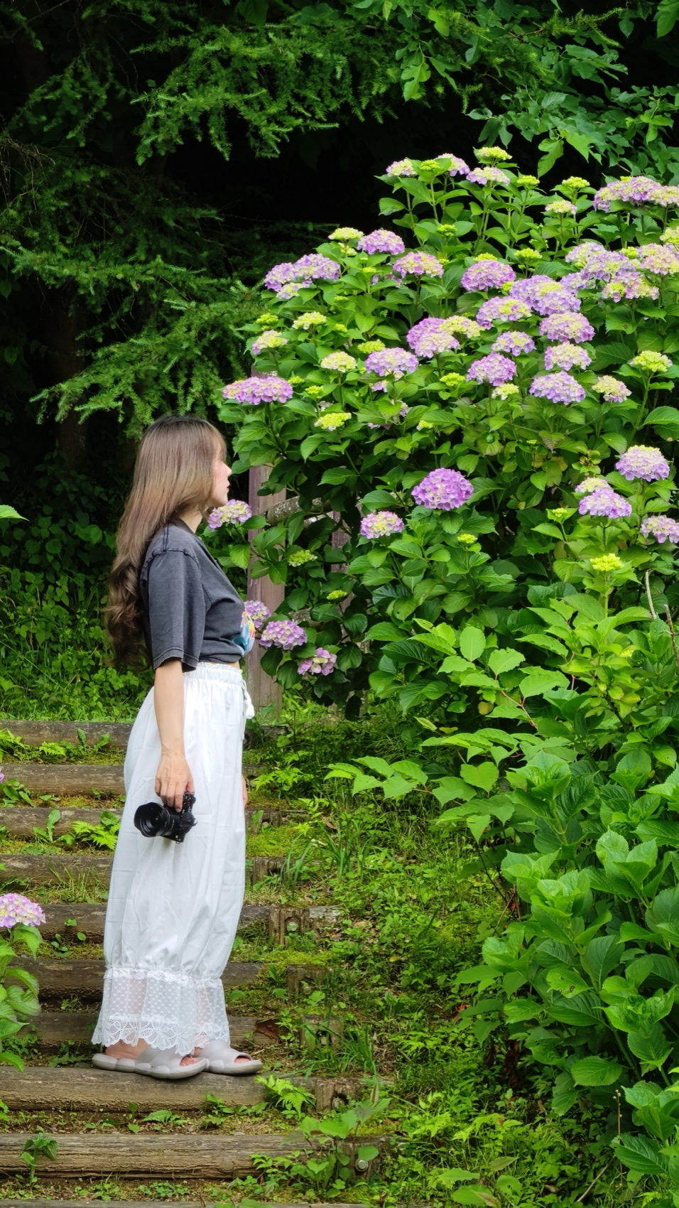 A visitor in a long white skirt stands beside tall purple and blue hydrangea bushes on the steps at Asumiko pond in Fujiyoshida, holding a camera.