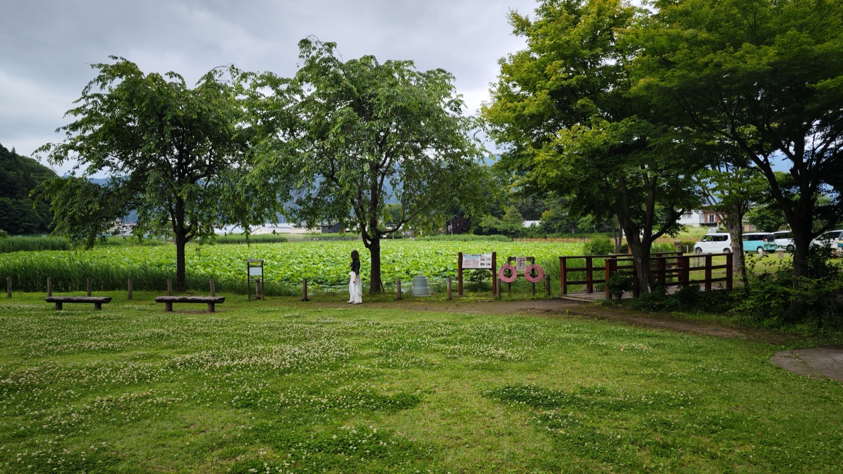 A wooden gazebo and an open lawn with trees in the lakeside park at Asumiko pond, Fujiyoshida, Yamanashi.
