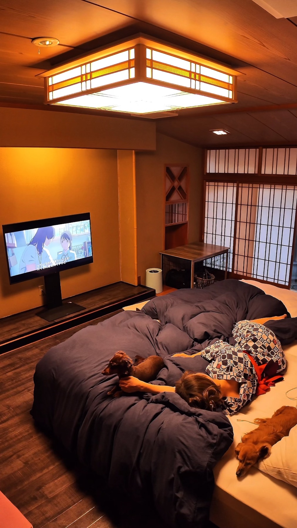 A traditional Japanese-style guest room at Club Wyndham Chikumakan with tatami, shoji screens and a paper-lantern ceiling light, navy futons on the floor, a guest in a yukata and two small dachshunds resting on the bedding, with a dog crate beside the TV stand, in Togura-Kamiyamada Onsen, Nagano