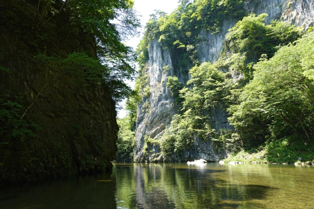 The limestone walls of Geibikei Gorge in Ichinoseki rising straight out of the shallow green Satetsu river, seen at water level from a flat-bottomed boat, with trees clinging to the cliff faces on both sides.