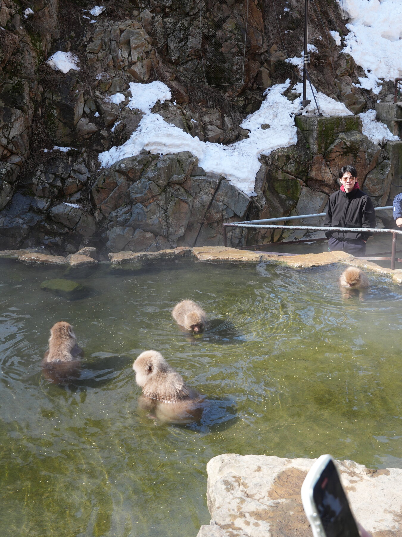 Japanese macaques resting at the edge of the steaming hot-spring pool at Jigokudani Snow Monkey Park, with visitors watching from the far bank across the water.