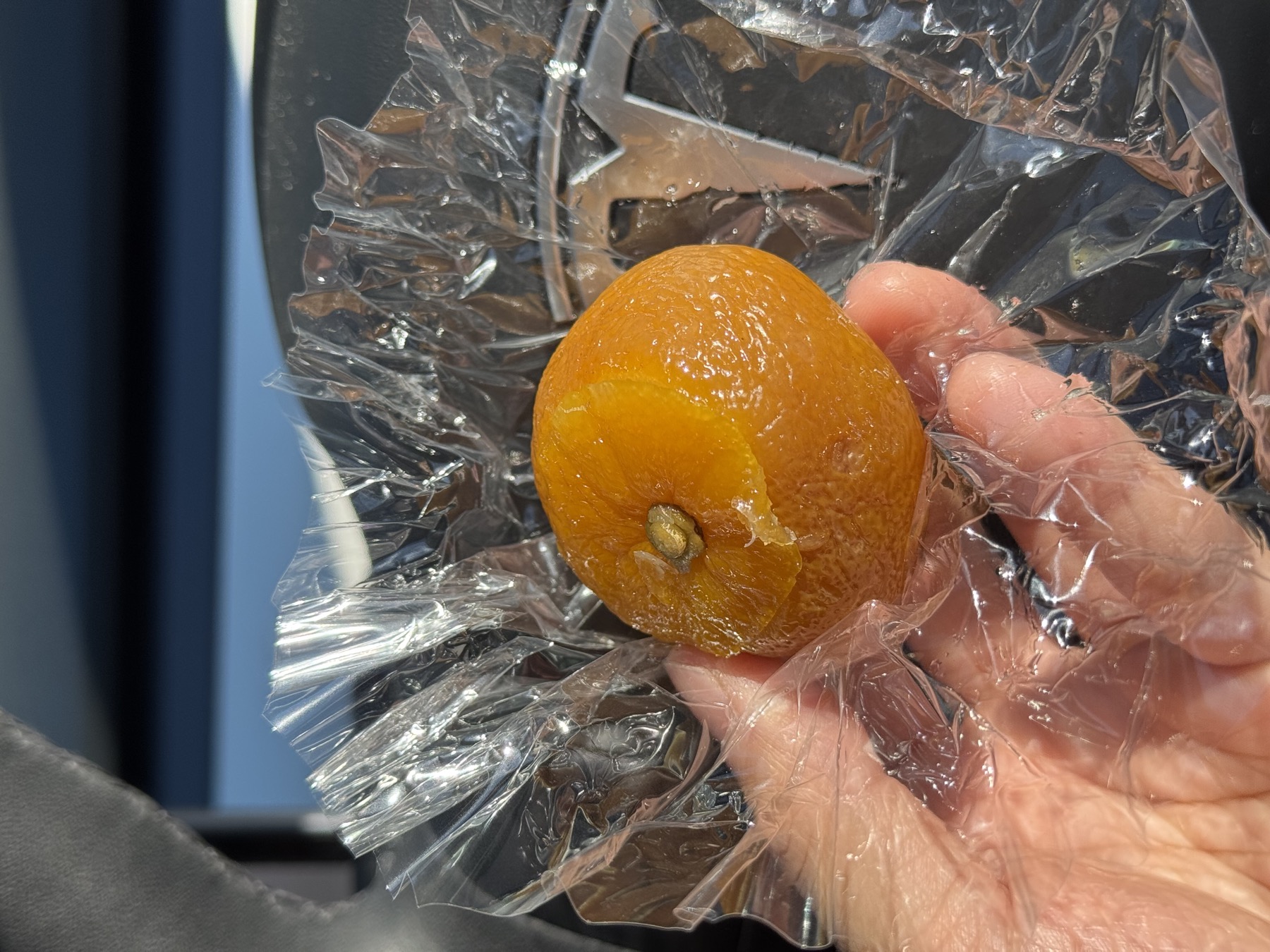 A whole candied mandarin mikan-mochi sweet held in the hand over its plastic wrapper, a seasonal specialty from Kashiho Mase wagashi shop in Izu, Shizuoka.