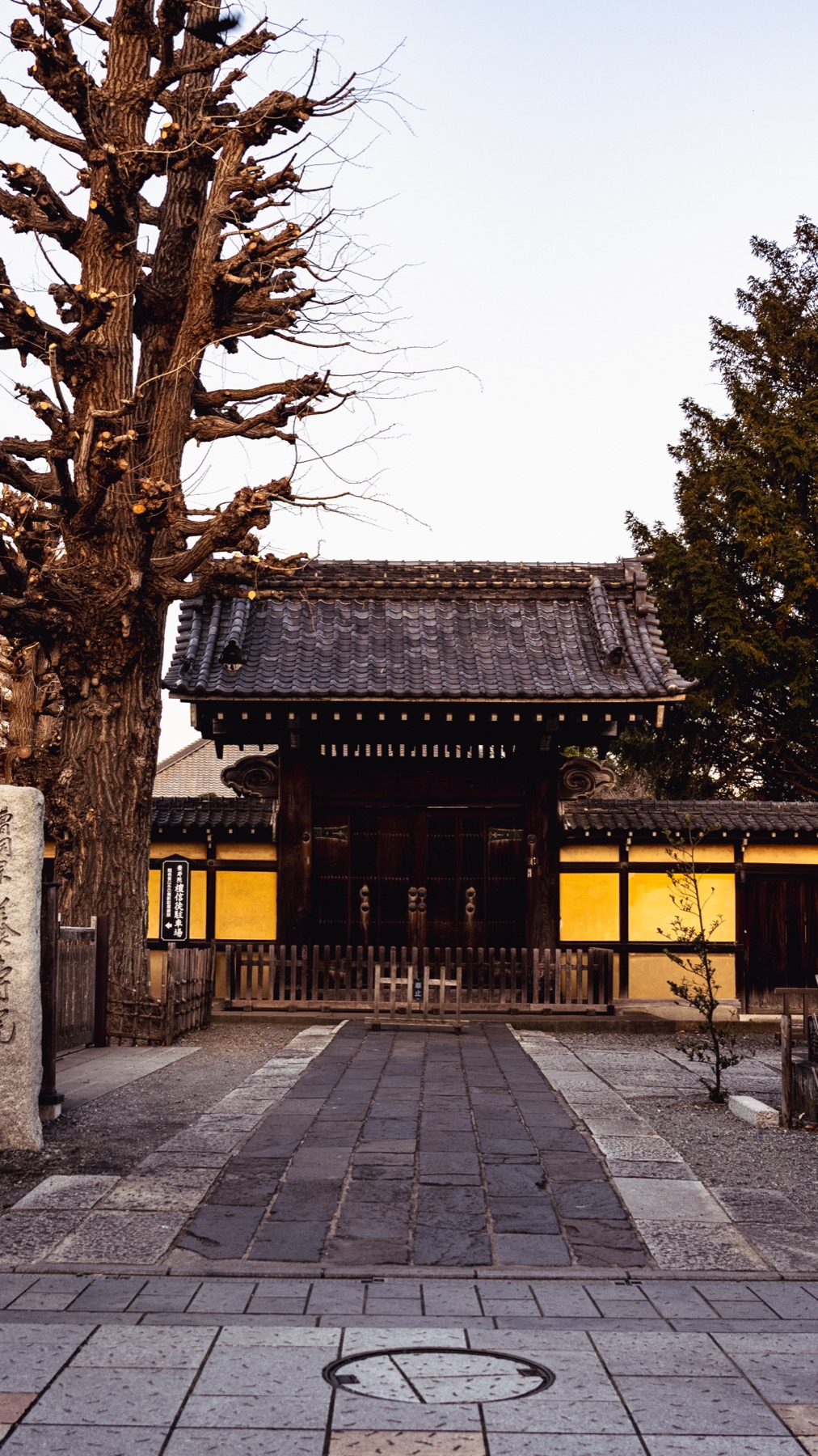 A wooden temple gate with yellow-lit walls behind it and a large bare tree beside it, on an empty stone path at dawn in Kawagoe.