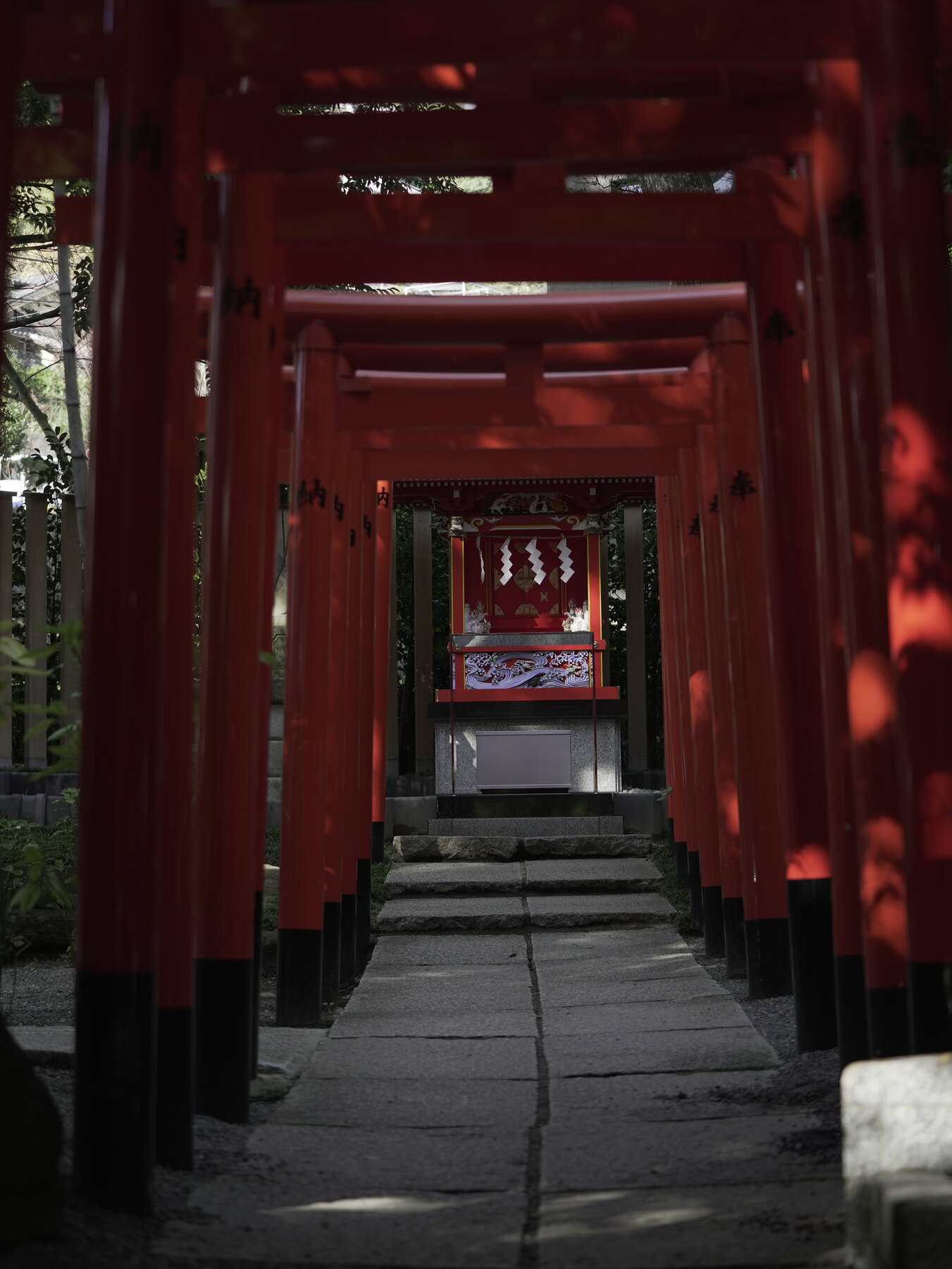 A tunnel of vermilion torii gates leading to a small Inari sub-shrine at Kinomiya Shrine in Atami, with stone steps alongside and dappled light.