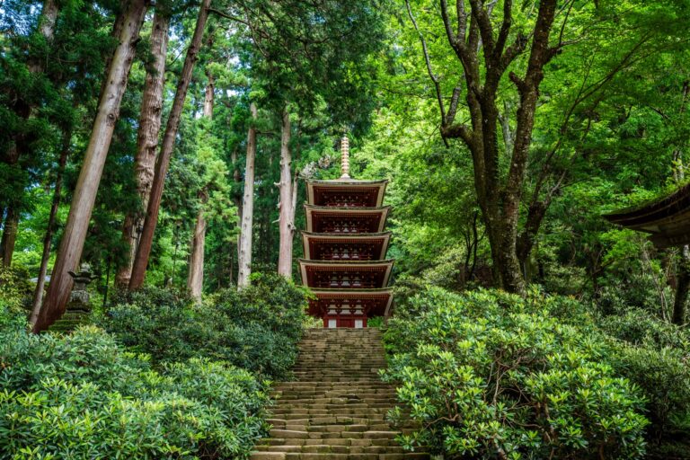 Murō-ji Temple 2026: Nara’s ‘Women’s Kōya’ and Its 1,200-Year Pagoda