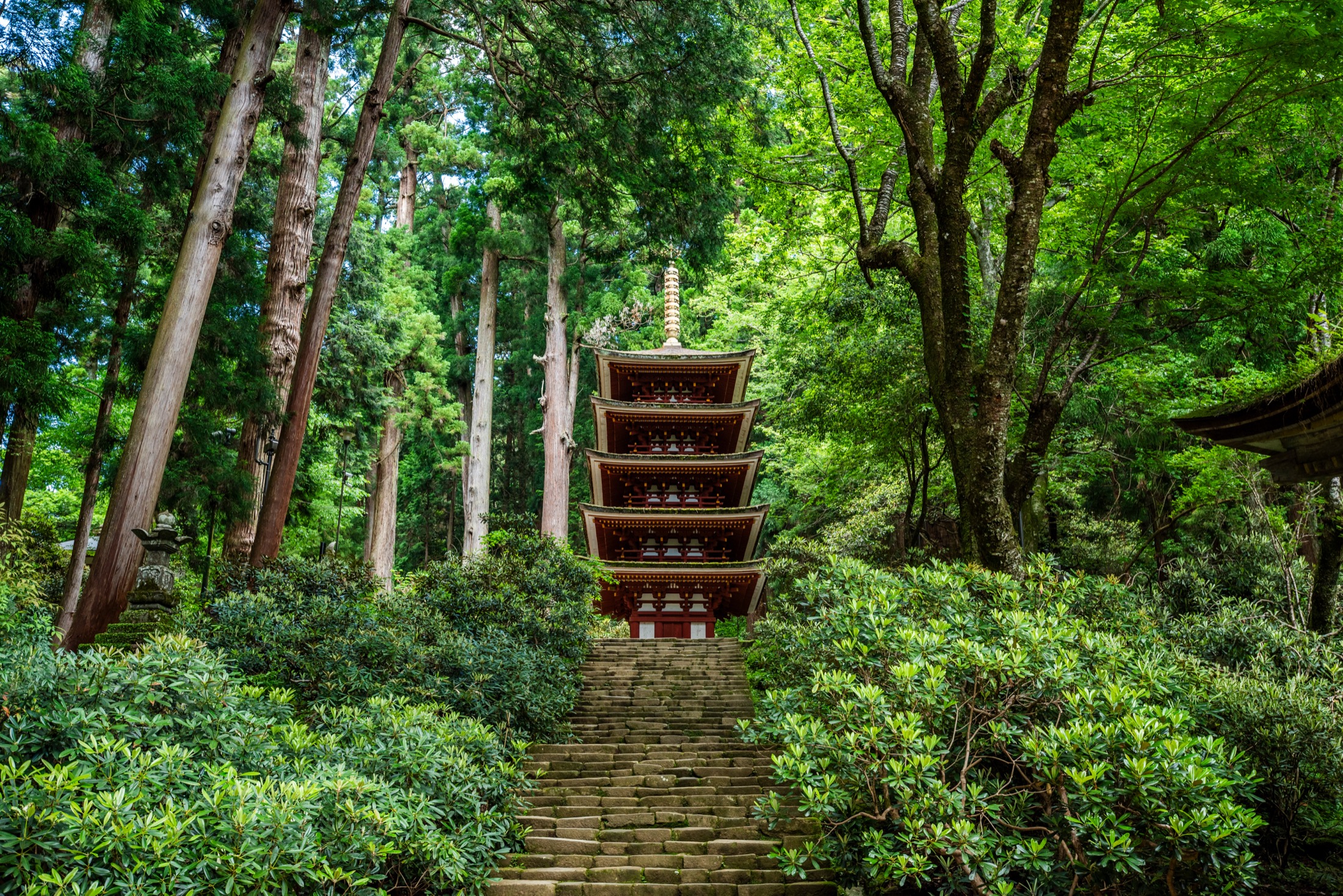The vermillion five-story pagoda of Muro-ji standing at the top of the moss-edged Yoroizaka stone staircase, framed by towering cedar trees and green rhododendron bushes in the temple's forested mountain grounds