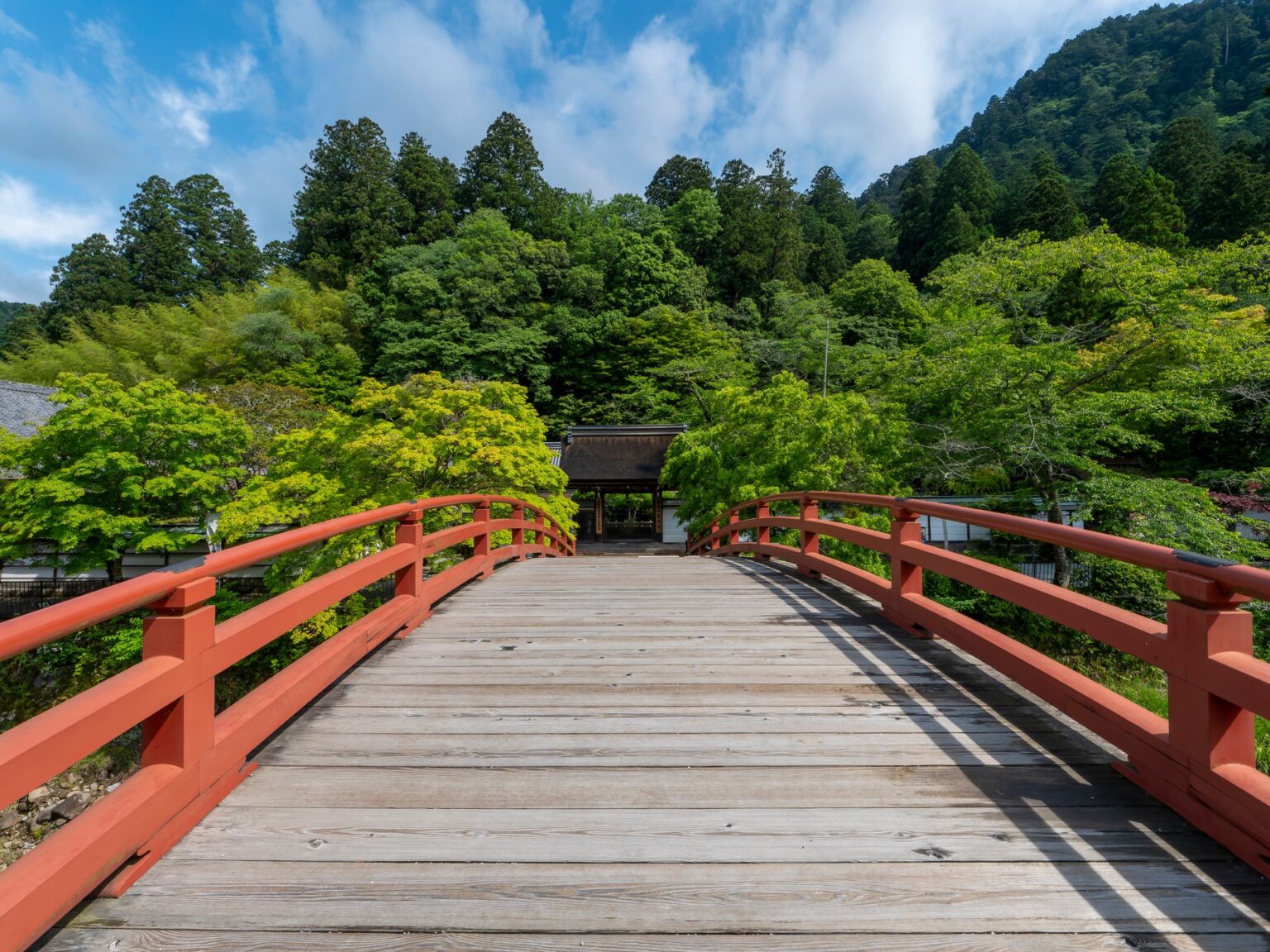 The red-railed wooden Taiko-bashi arch bridge over the Muro River at the entrance to Muro-ji, leading toward the temple gate with green cedar-covered mountains and blue sky behind
