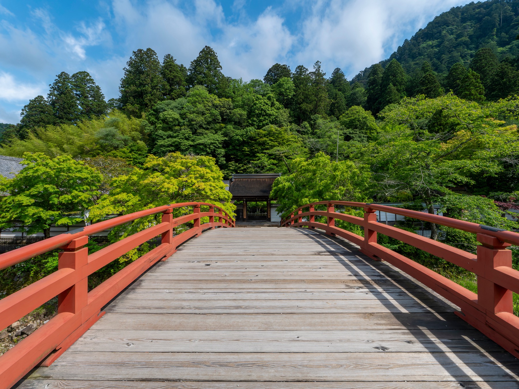 The red-railed wooden Taiko-bashi arch bridge over the Muro River at the entrance to Muro-ji, leading toward the temple gate with green cedar-covered mountains and blue sky behind