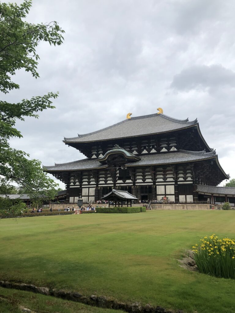 Todai-ji & the Nara Deer 2026: Great Buddha, Hours & Day-Trip Tips