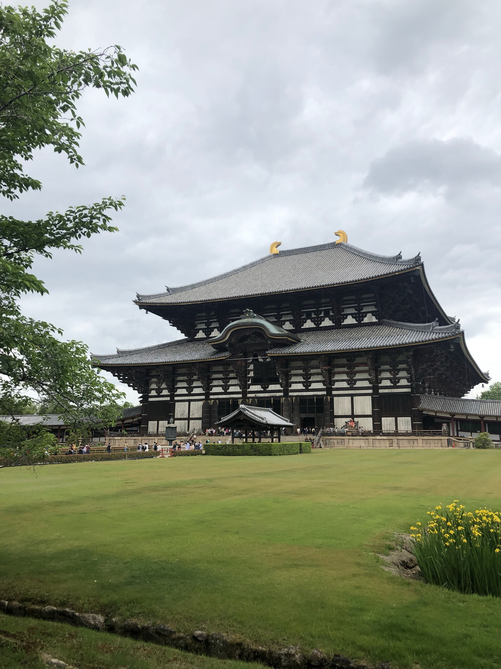 The vast wooden Great Buddha Hall (Daibutsuden) of Todai-ji in Nara, its grey-tiled double roof topped with two golden shibi ornaments, seen across a wide green lawn under an overcast early-summer sky