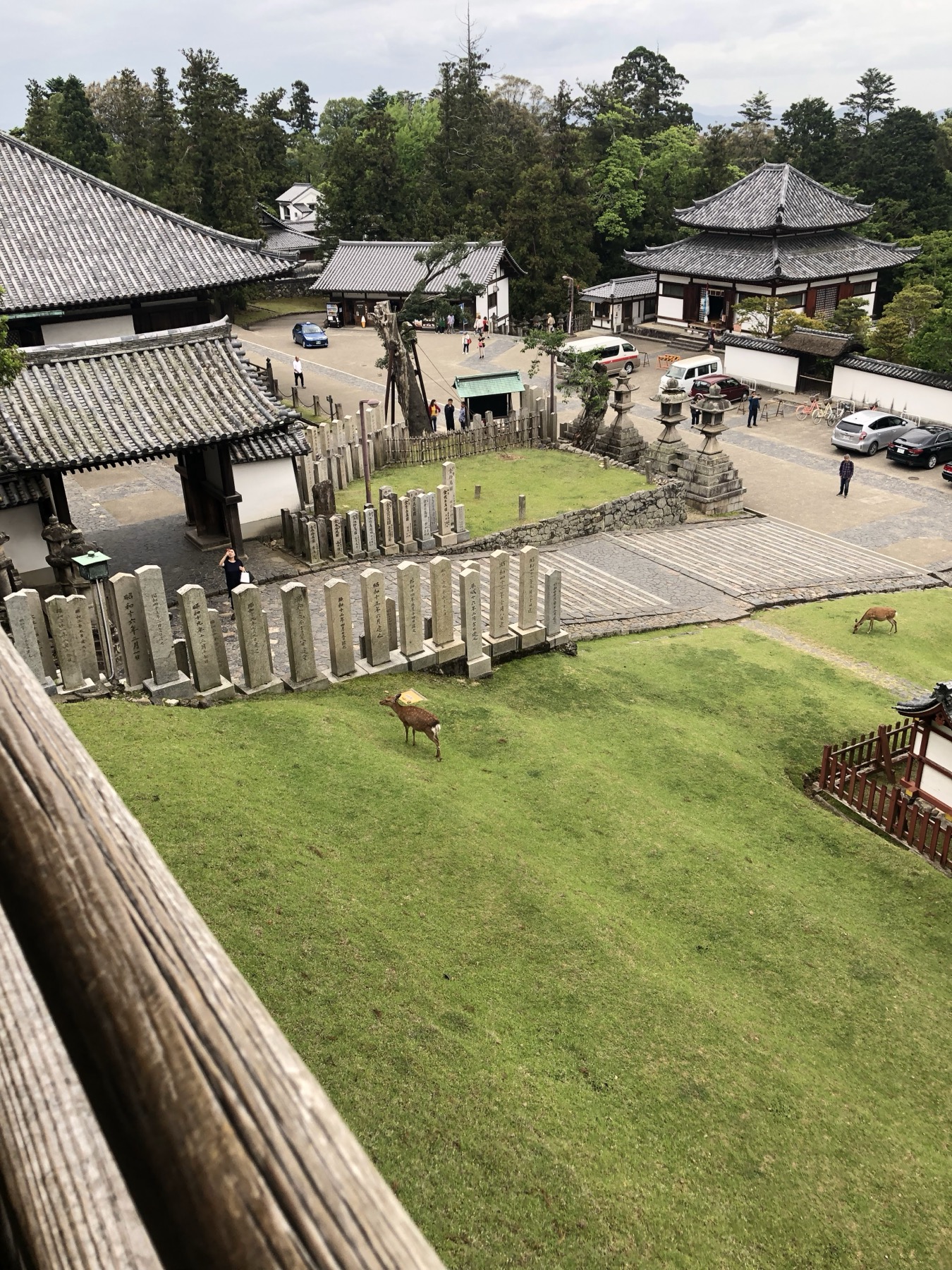 An elevated view over the Todai-ji precinct in Nara, with tiled temple roofs, rows of stone lanterns and pillars, a car park and free-roaming deer grazing on the grass below