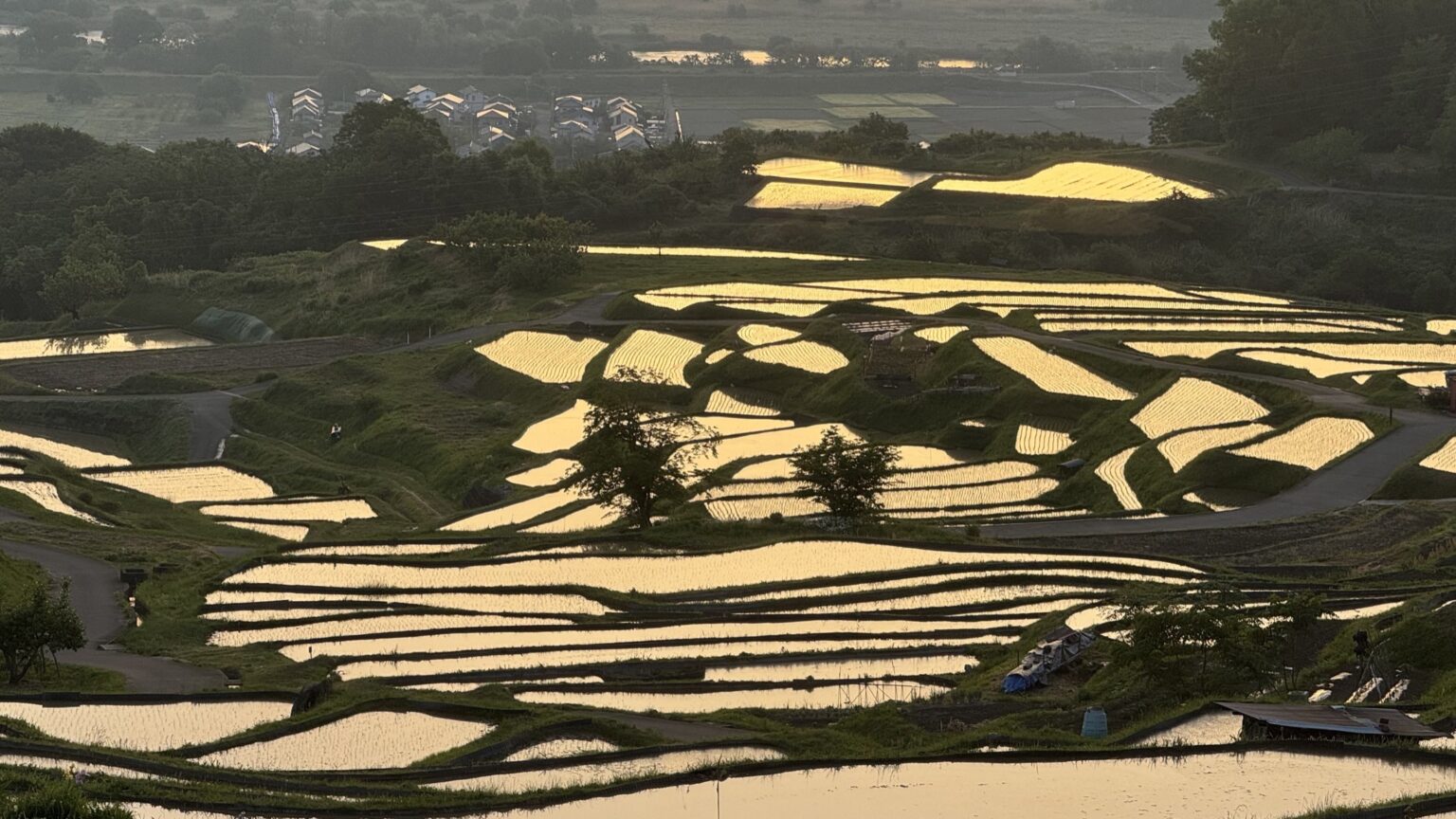 The Obasute rice terraces in Chikuma, Nagano, photographed at first light in late May, with every flooded paddy on the hillside mirroring the dawn sky in a mosaic of silver and gold light above the Zenkoji plain