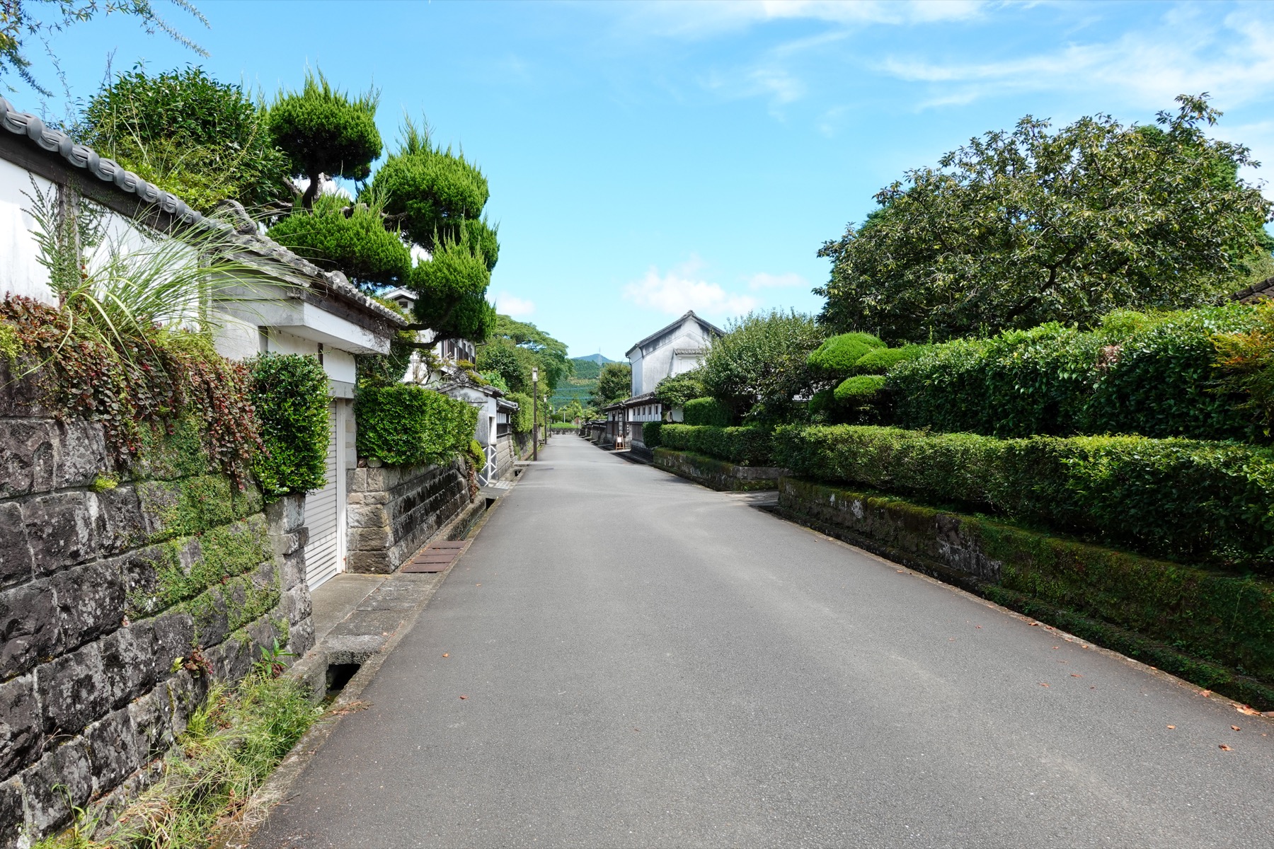 A preserved residential lane in Obi castle town with white earthen walls, neatly clipped topiary pine trees and a trimmed green hedge, leading toward distant hills under a blue sky.