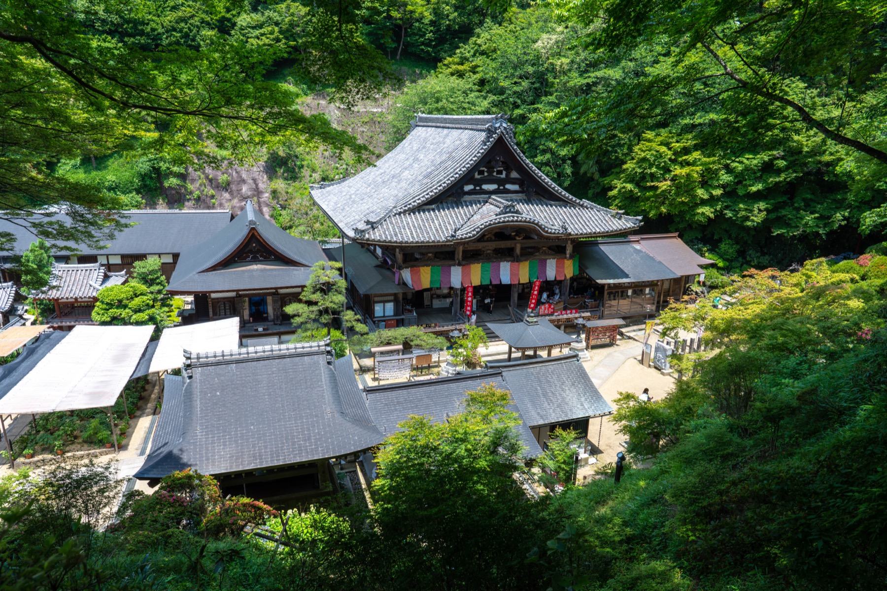An elevated view of Okadera Temple wooden main hall and surrounding buildings set into the green wooded hills of Asuka village in Nara, with colorful temple banners at the hall entrance.