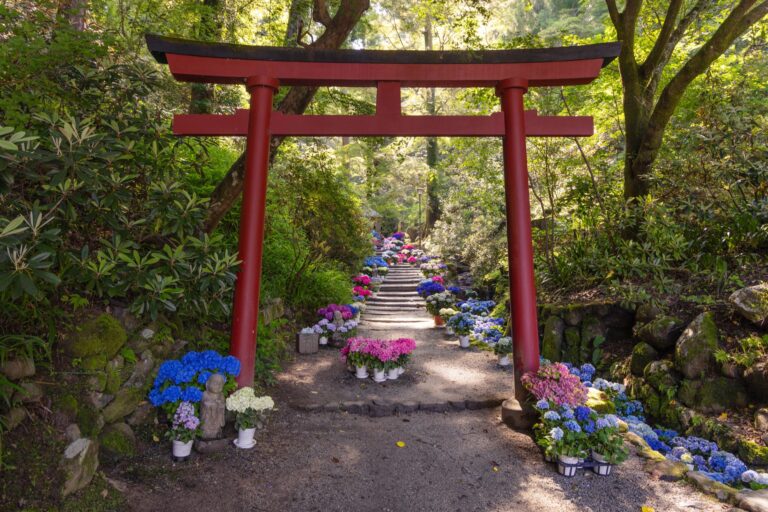 Okadera Temple: Asuka’s Flower Temple and Japan’s First Yakuyoke Site