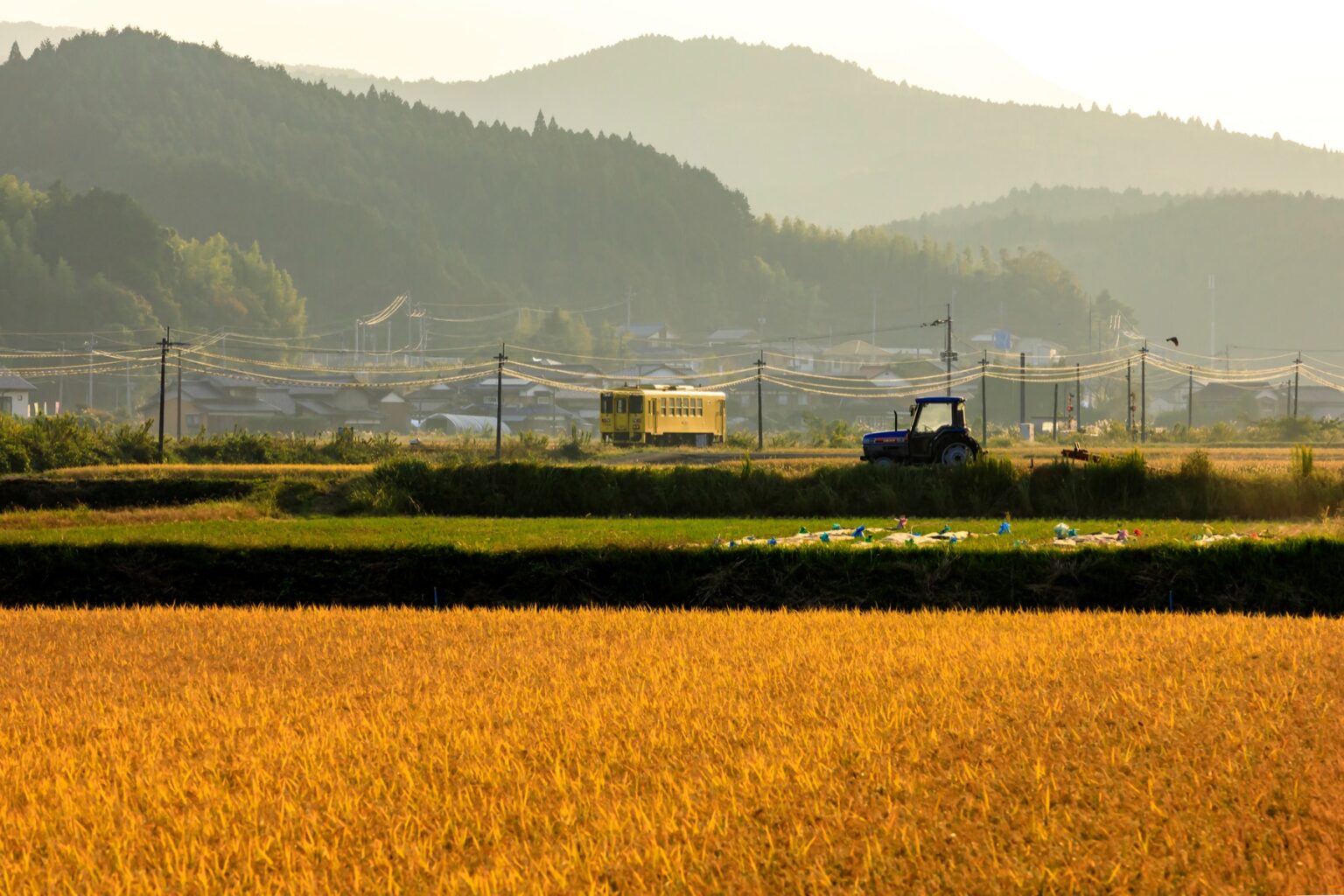 A yellow single-car train and a tractor working golden rice fields under hazy mountains in rural Saga