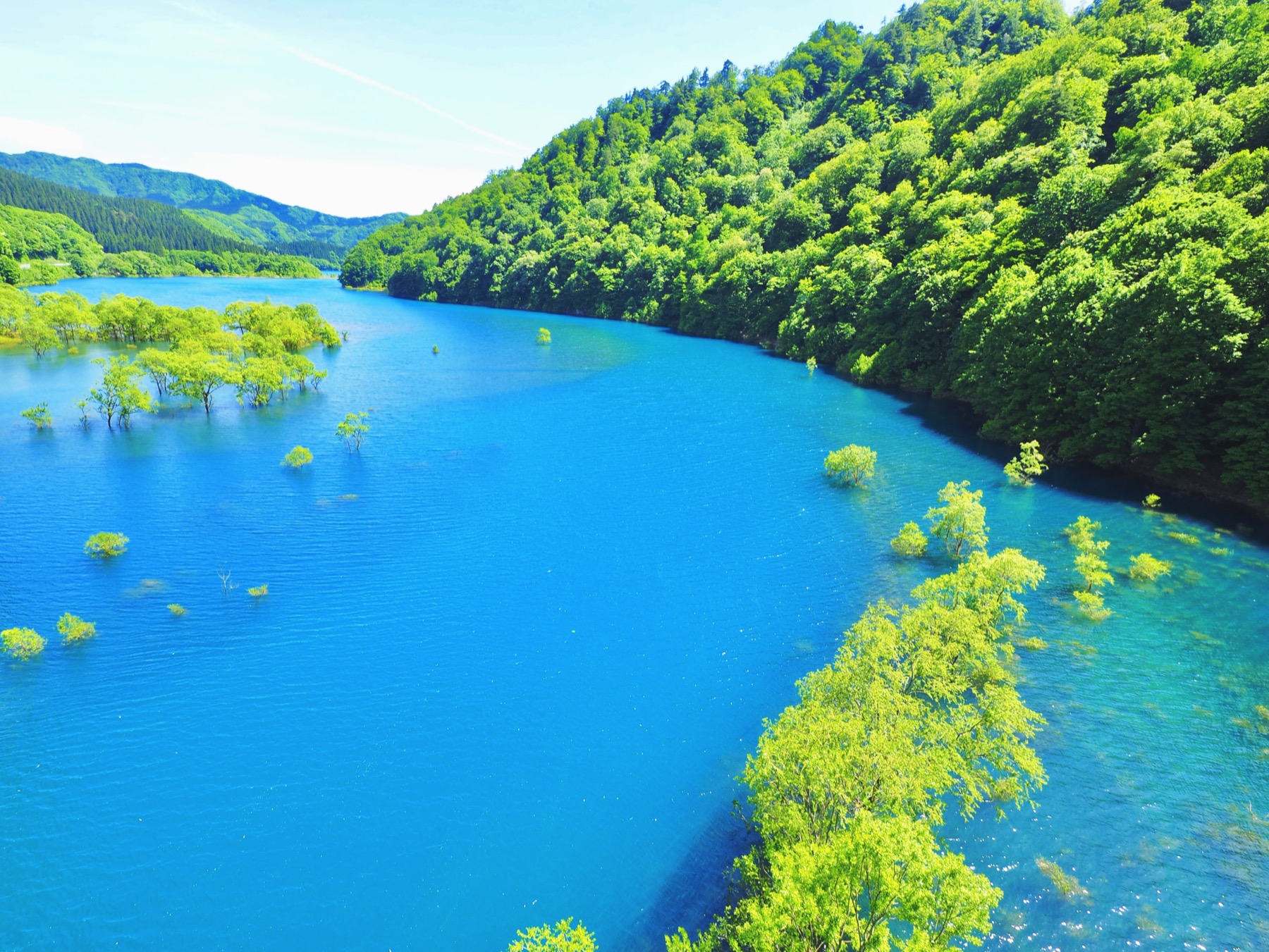 A wide view of Lake Shusenko winding between green forested hills in Akita, its bright blue-turquoise water dotted with the crowns of half-submerged shoreline trees in early summer