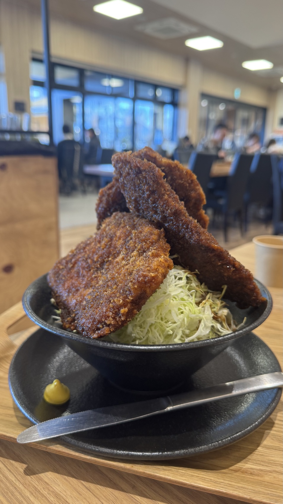 A close-up of a tall sauce-coated breaded pork cutlet stacked over rice in a black bowl at Terrace Kitchen, Tabi-no-Eki Kawaguchiko Base, Yamanashi.