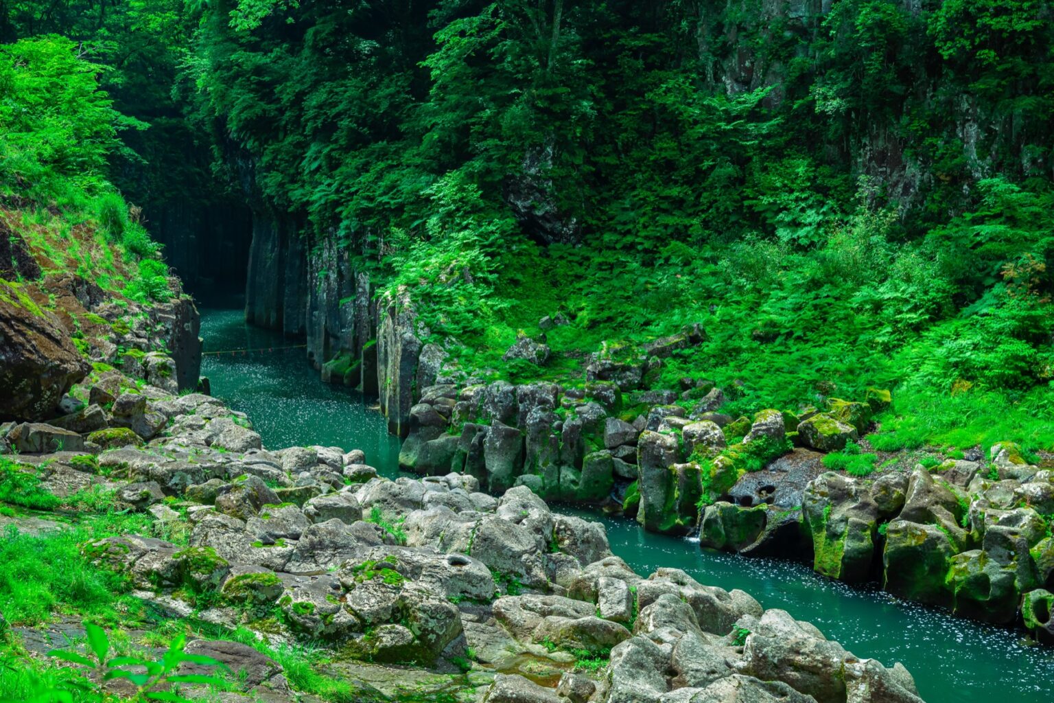 The columnar basalt rock formations of Takachiho Gorge lining the clear Gokase River upstream, hexagonal volcanic columns and mossy boulders under dense green forest in Miyazaki, Kyushu.