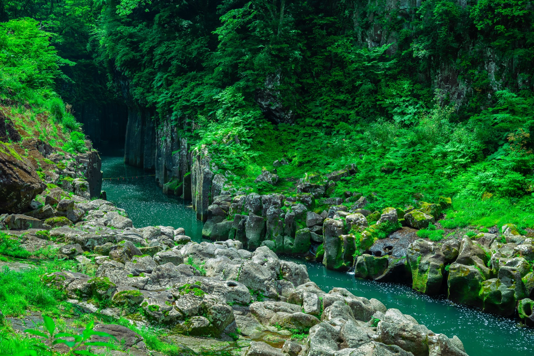 The columnar basalt rock formations of Takachiho Gorge lining the clear Gokase River upstream, hexagonal volcanic columns and mossy boulders under dense green forest in Miyazaki, Kyushu.