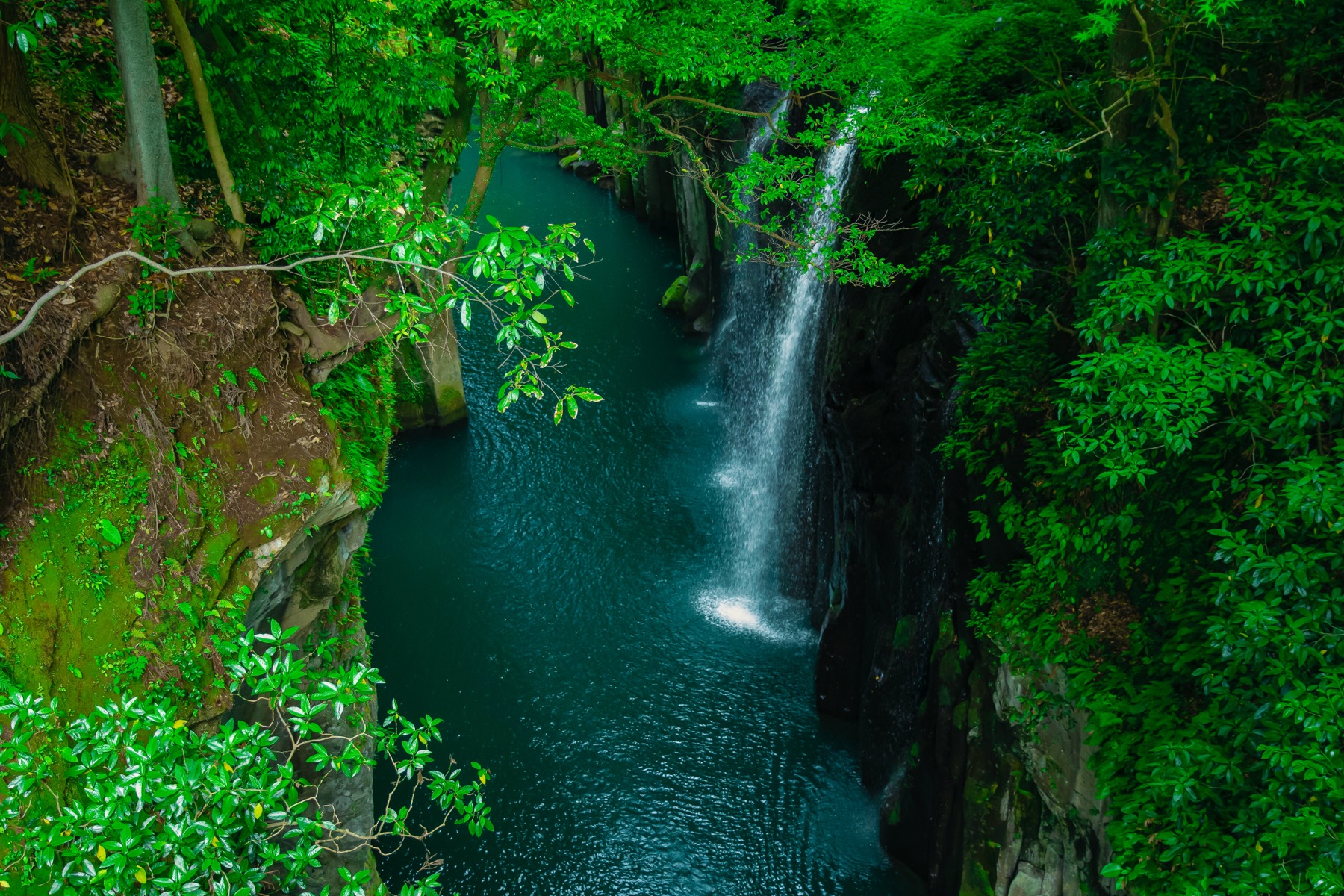 A view down onto Manai Falls and the narrow teal river of Takachiho Gorge from the overlook above, the waterfall threading down between forested basalt cliffs in Miyazaki, Kyushu.