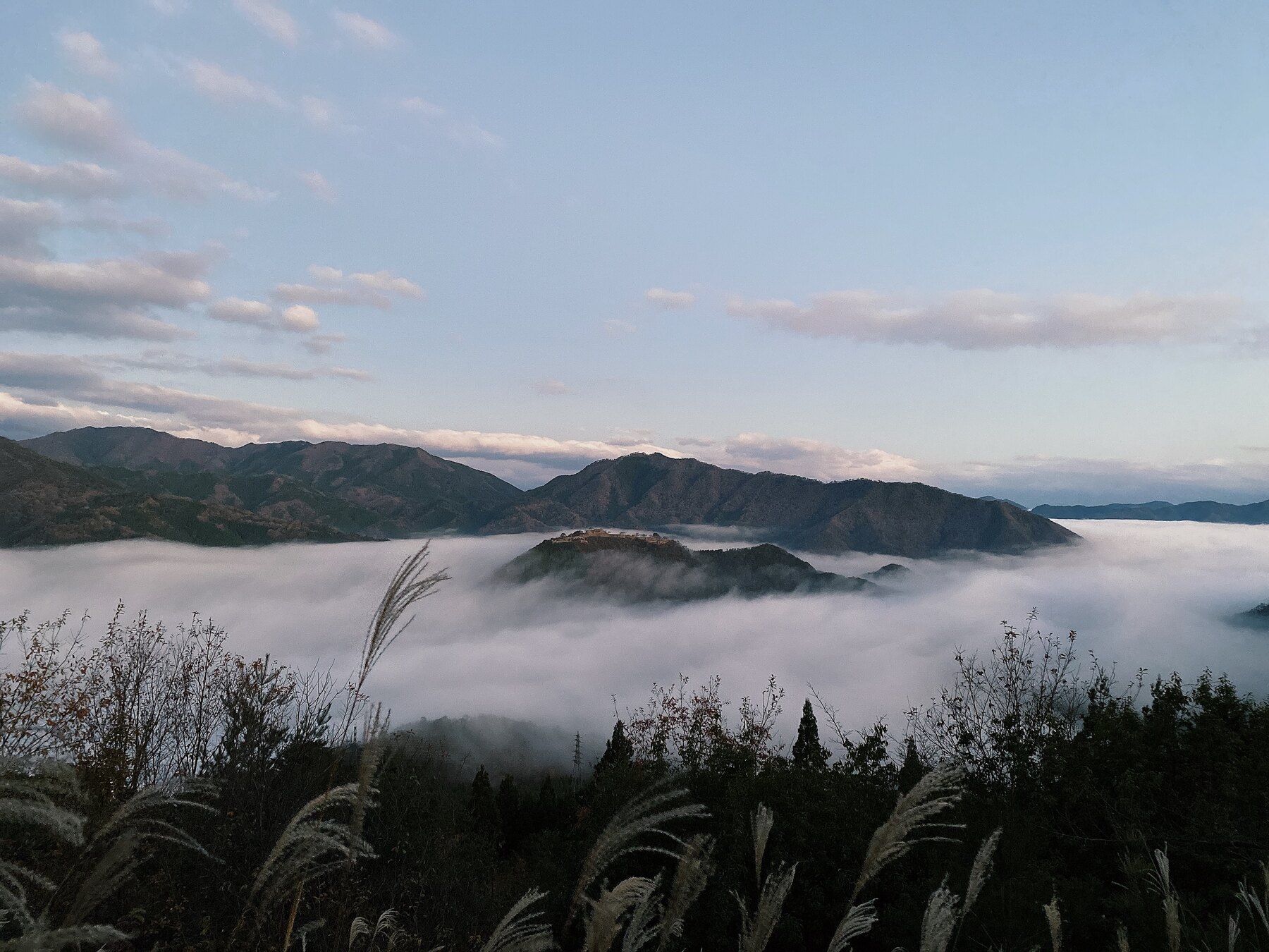 Takeda Castle's stone ruins on a forested ridge surrounded by a low sea of clouds at dawn, with silver susuki grass in the foreground and soft pink morning light over the mountains.