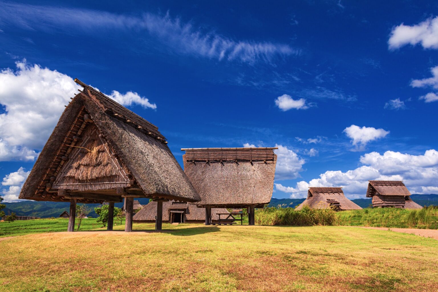 Reconstructed raised-floor storehouses with steep thatched roofs on a grassy field at Yoshinogari Historical Park