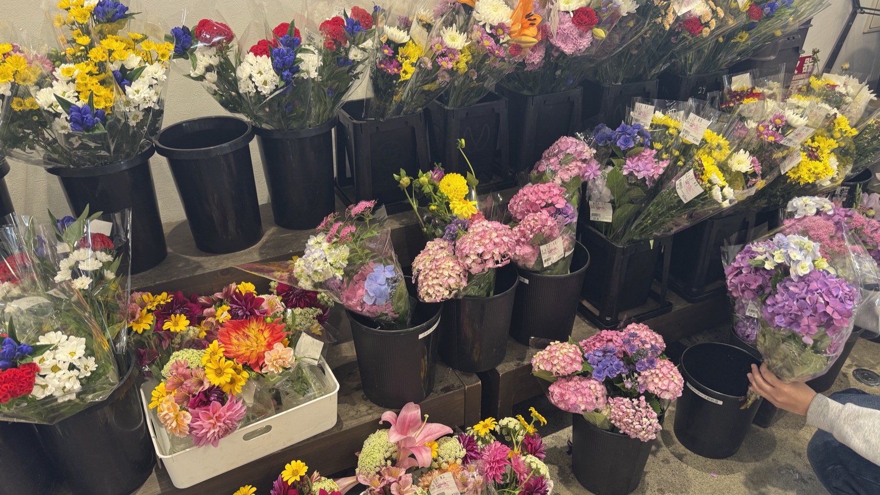 Buckets of locally grown cut flowers including purple hydrangeas for sale in the flower corner of Farmers Gotemba market in Shizuoka