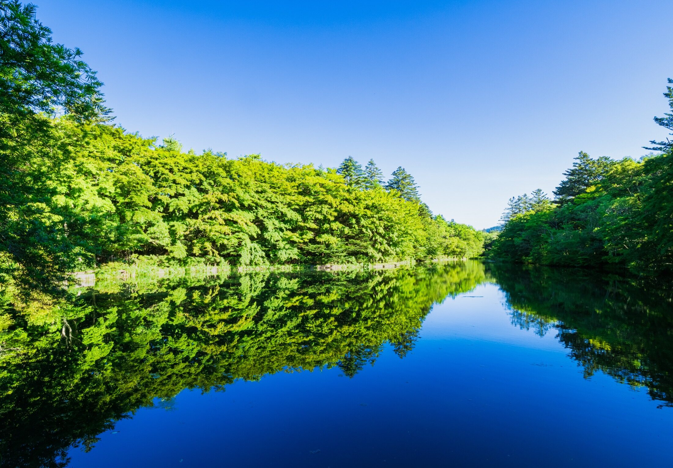 Kumoba Pond in Karuizawa with still dark blue water perfectly reflecting the surrounding bright green summer forest