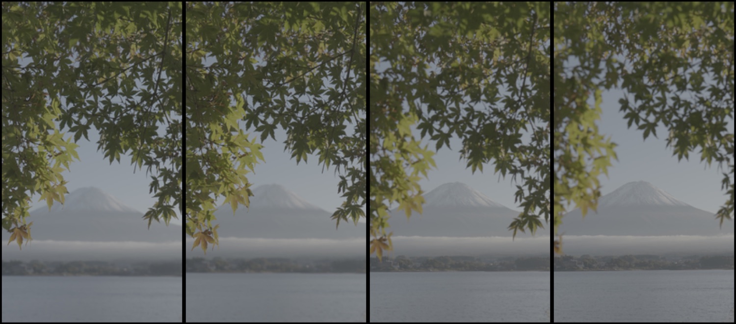 Mt Fuji framed by maple leaves over Lake Kawaguchi