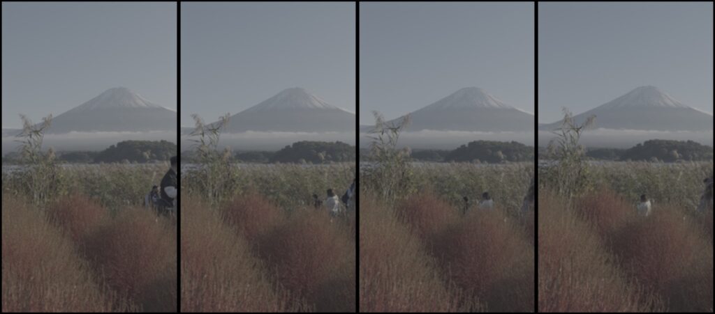 Mt Fuji and autumn grasses across Lake Kawaguchi on the north shore near Oishi Park