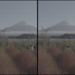 Mt Fuji and autumn grasses across Lake Kawaguchi on the north shore near Oishi Park