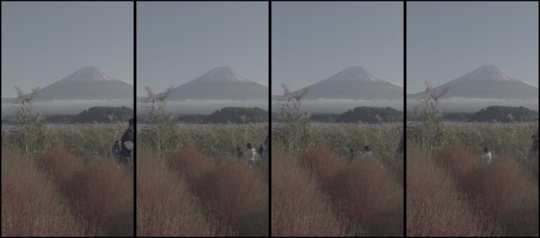 Mt Fuji and autumn grasses across Lake Kawaguchi on the north shore near Oishi Park