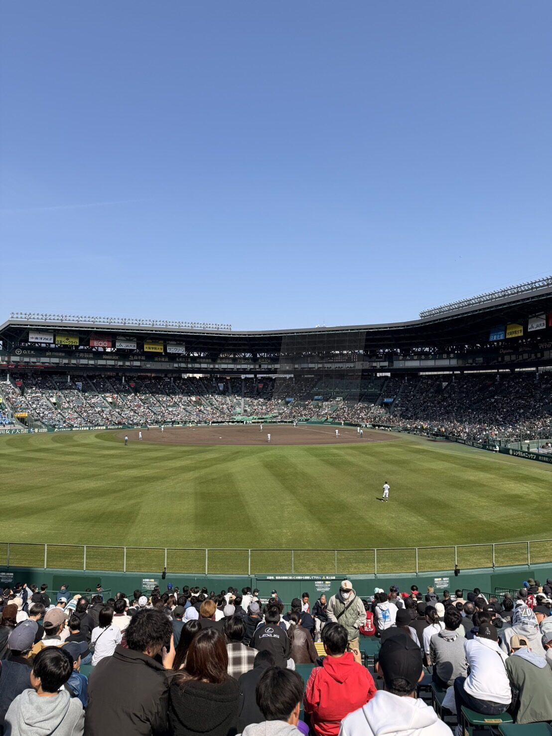 Looking from the outfield seats at Hanshin Koshien Stadium across striped outfield grass toward the infield and the full grandstand, spectators filling the foreground rows