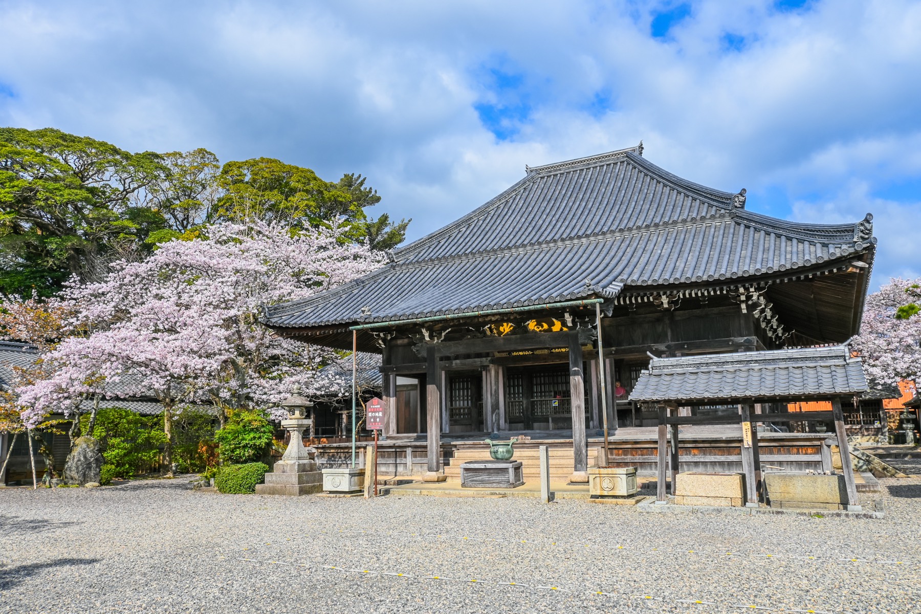 The main hall of Seki Jizo-in temple in Seki-juku with a stone lantern and cherry blossom in bloom beside it under a blue sky