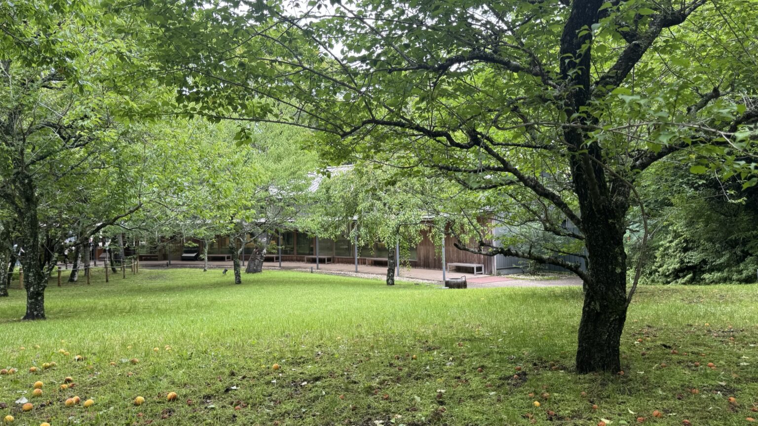 The low wood-and-glass Toraya Kobo cafe building seen across a green lawn and through the trees on its wooded former-villa grounds in Higashiyama, Gotemba