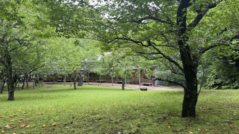 The low wood-and-glass Toraya Kobo cafe building seen across a green lawn and through the trees on its wooded former-villa grounds in Higashiyama, Gotemba