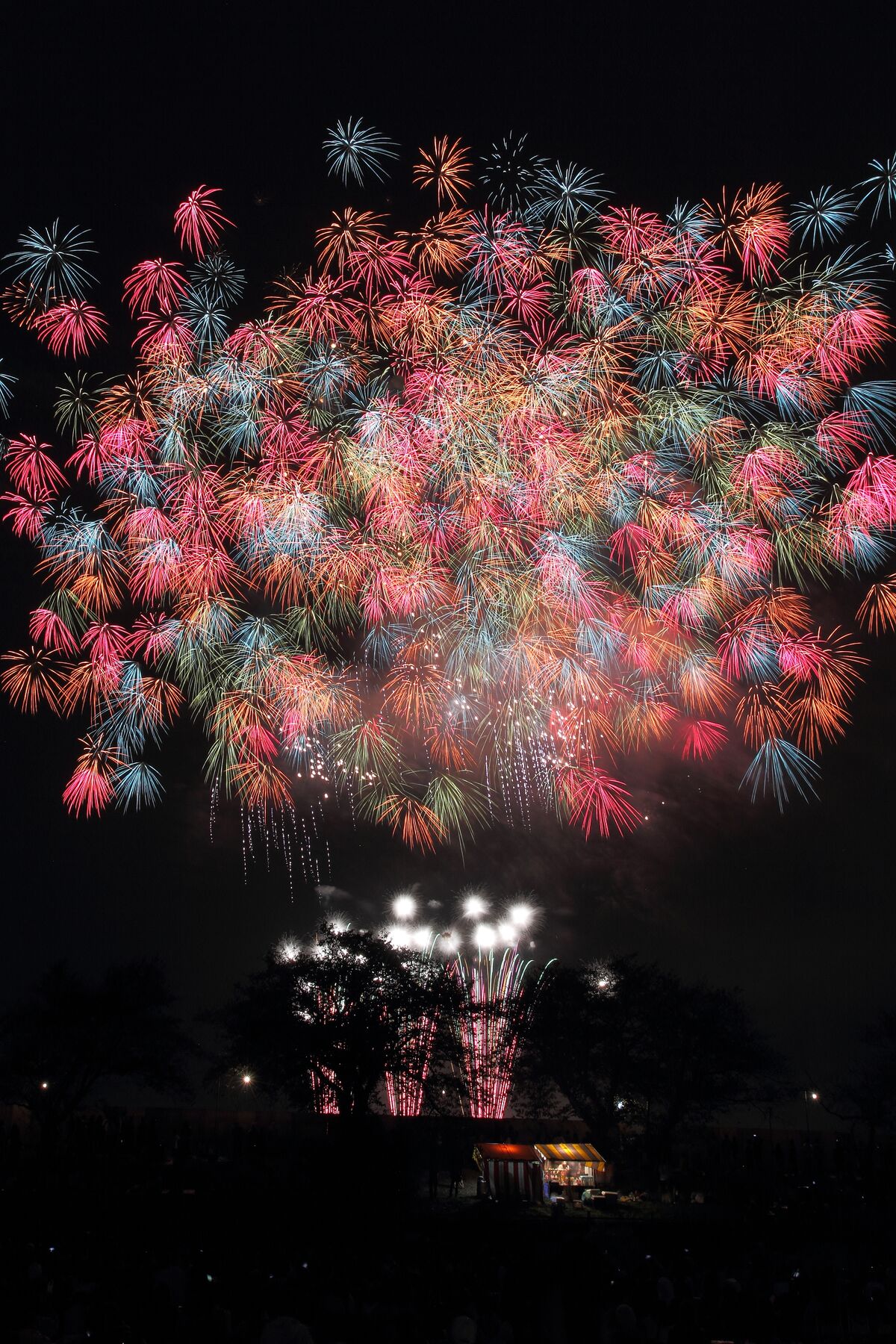 A dense multicoloured starmine burst of pink blue and green chrysanthemum shells at the Tsuchiura All-Japan Fireworks Competition in Ibaraki