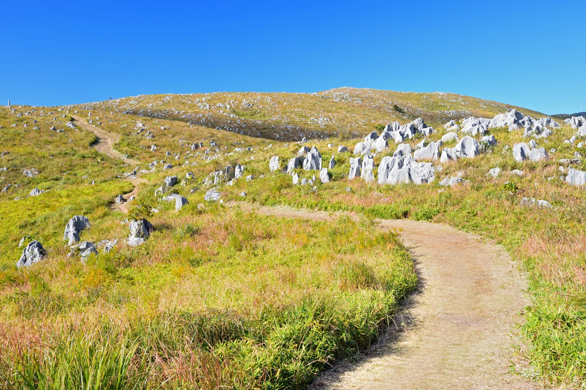 The Karst Road crossing the open grassland of the Akiyoshidai plateau, Yamaguchi