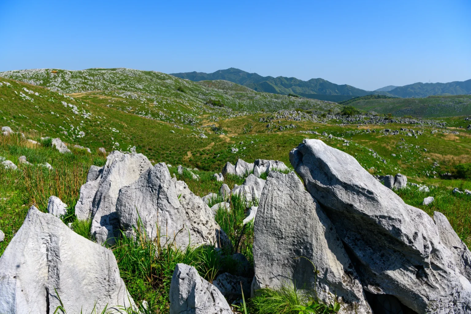 White limestone pinnacles rising through green grassland on the Akiyoshidai plateau, Yamaguchi