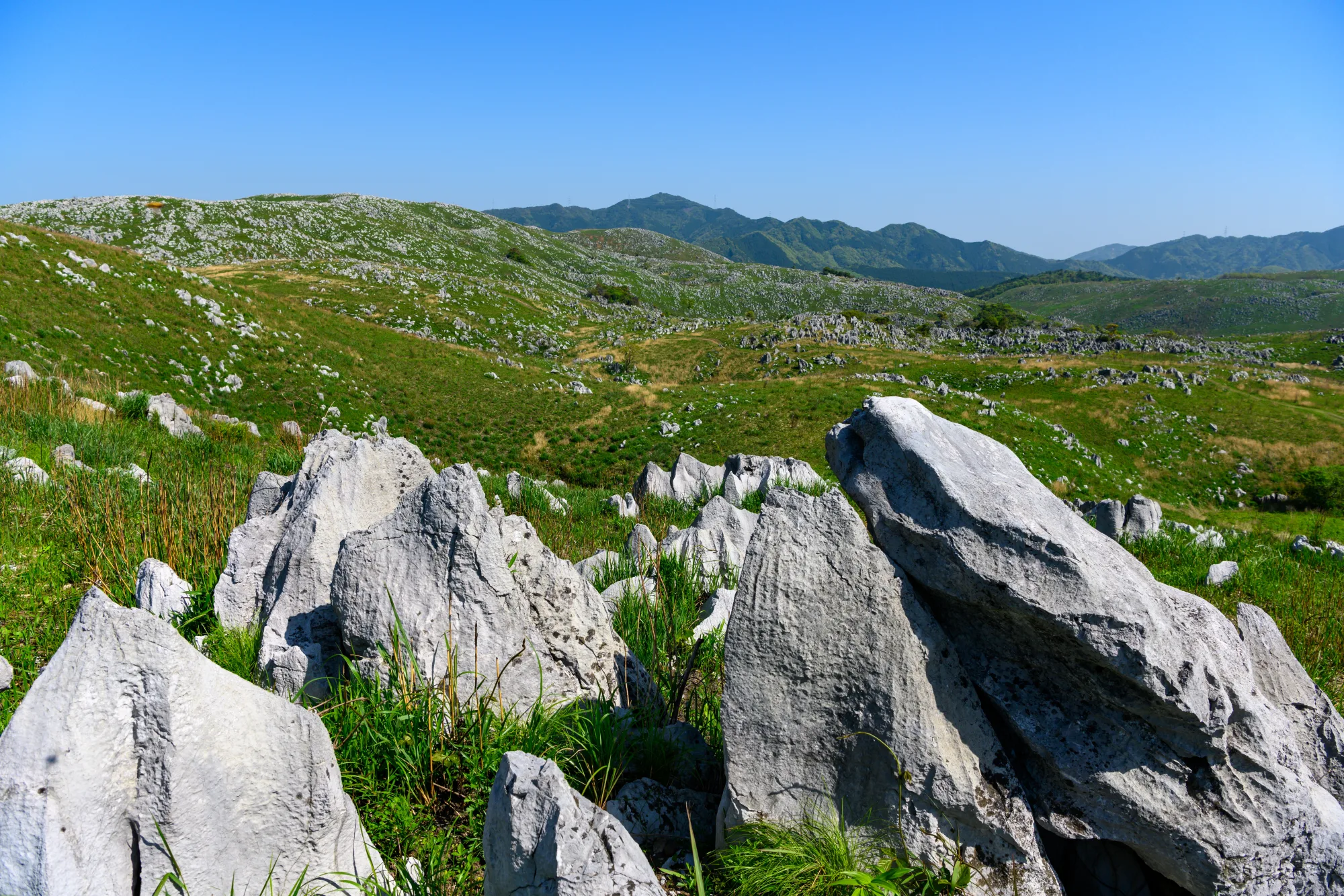 White limestone pinnacles rising through green grassland on the Akiyoshidai plateau, Yamaguchi