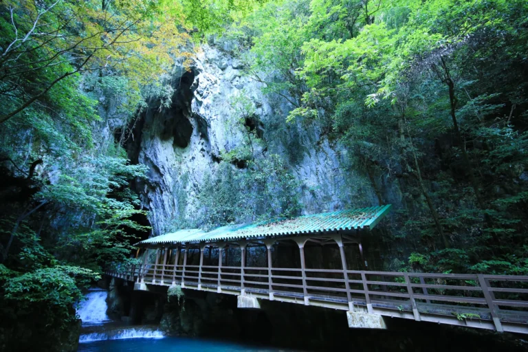 The main entrance of Akiyoshido Cave where the underground river emerges, Yamaguchi