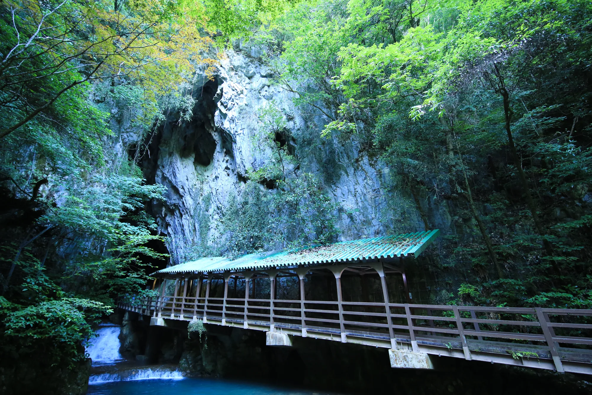 The main entrance of Akiyoshido Cave where the underground river emerges, Yamaguchi