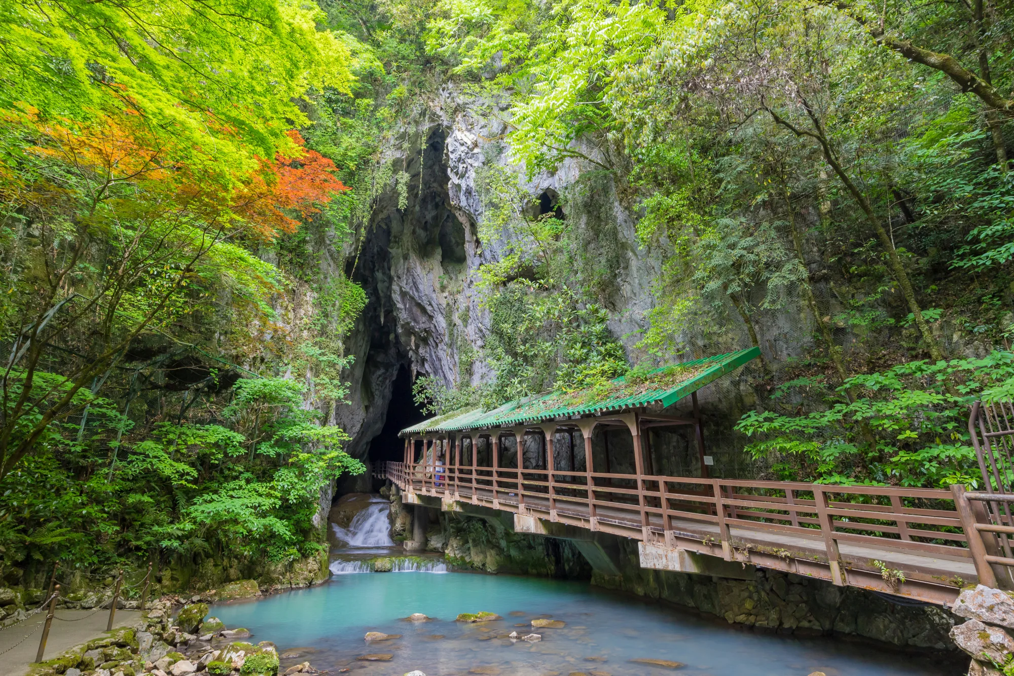 The underground Inegawa river flowing through a lit passage of Akiyoshido Cave, Yamaguchi