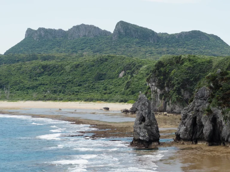 The karst rock ridge of the former Daisekirinzan, now ASMUI, rising behind a wild beach on the northern Okinawa coast in Kunigami, Yanbaru