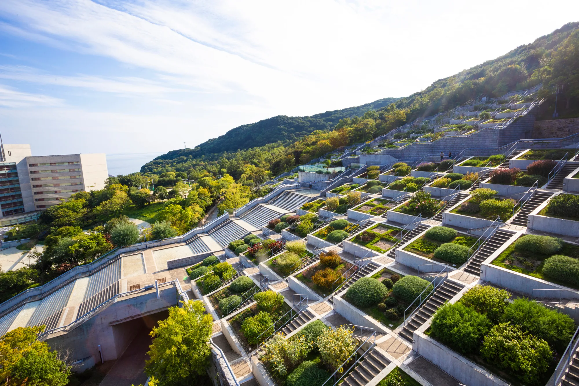 The Hyakudanen hundred-terrace garden climbing the hillside in a grid at Awaji Yumebutai, Tadao Ando, Hyogo