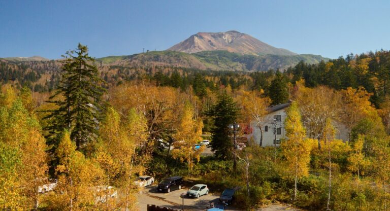 Red and gold alpine autumn colour on the slopes of Asahidake in the Daisetsuzan range, Hokkaido, in September