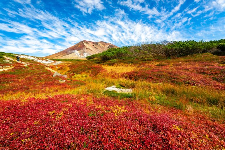 Crimson and gold alpine vegetation covering the slopes of Asahidake in Daisetsuzan National Park, Hokkaido, in September - the first place in Japan to turn each autumn, under a blue sky with drifting clouds
