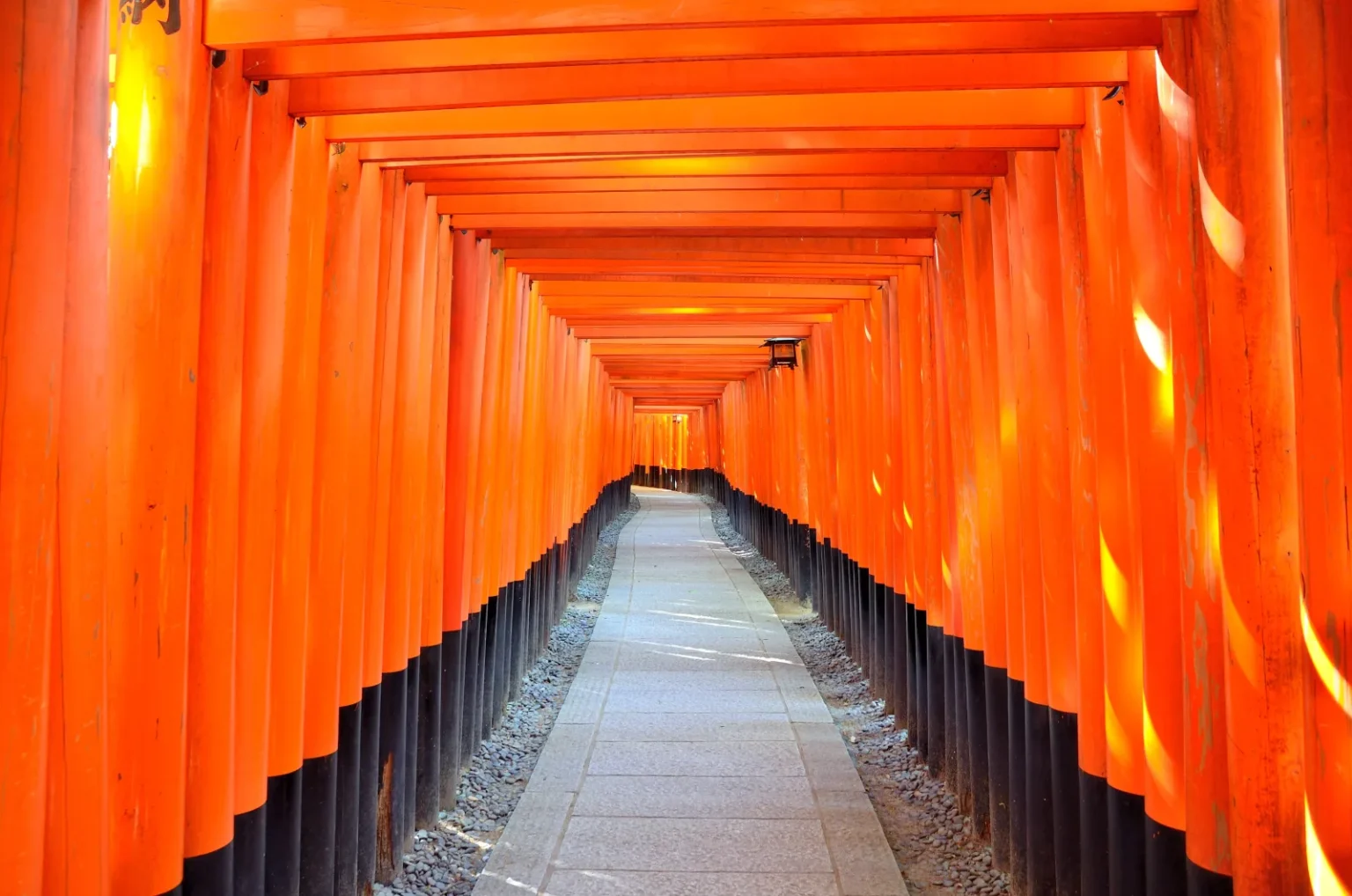 The vermilion tunnel of thousands of torii gates at Fushimi Inari Taisha in Kyoto stretching up the hillside path with soft light filtering between the gates