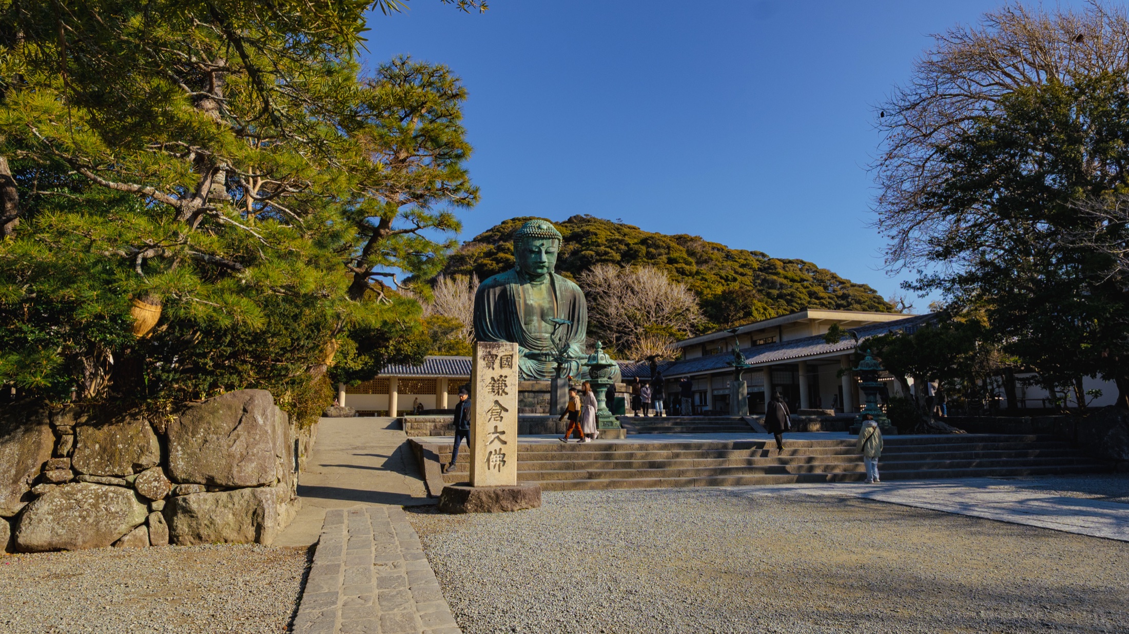 The Great Buddha of Kamakura, an 11.3-metre bronze Amida statue seated in the open courtyard of Kotoku-in temple, photographed on a clear morning with the stone marker reading Kokuho Kamakura Daibutsu in the foreground